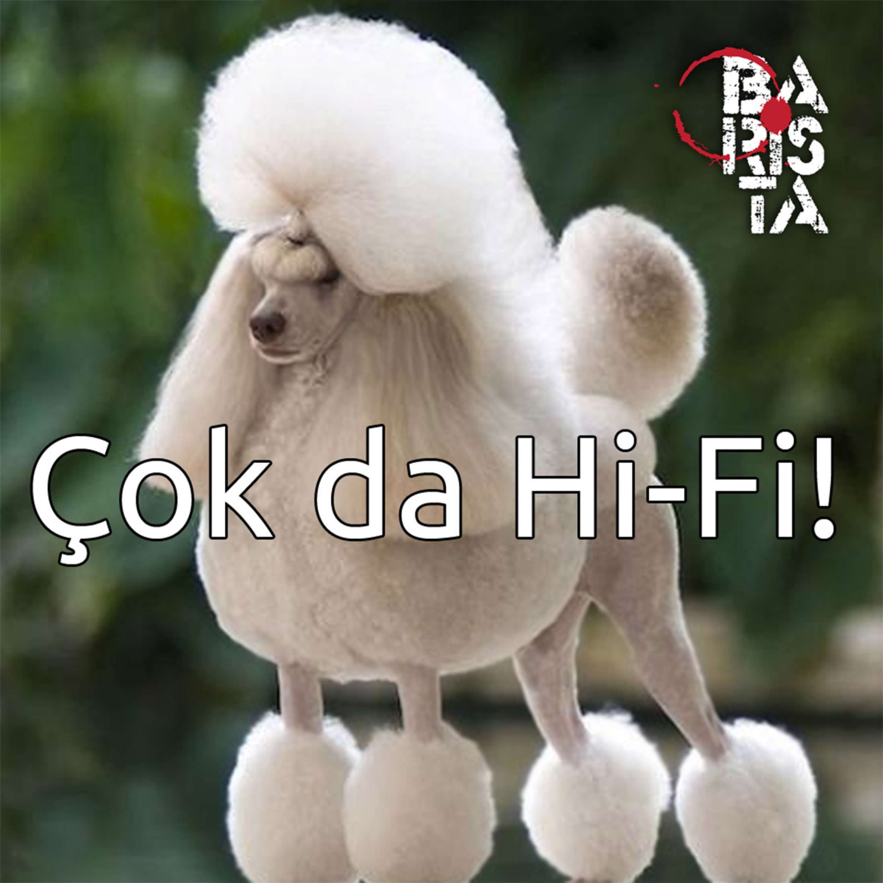 MAKİNESİZ, KATKISIZ, ORGANİK MÜZİK!