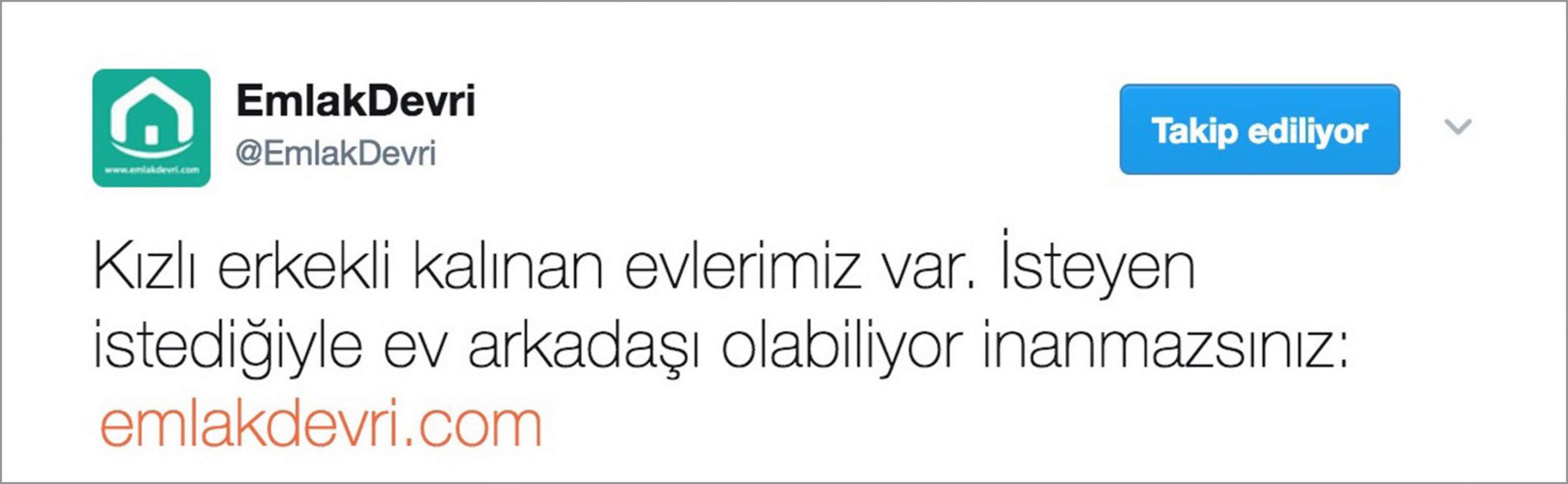 SİLİKON VALİSİ, MAHALLENİN ABİSİNE KARŞI