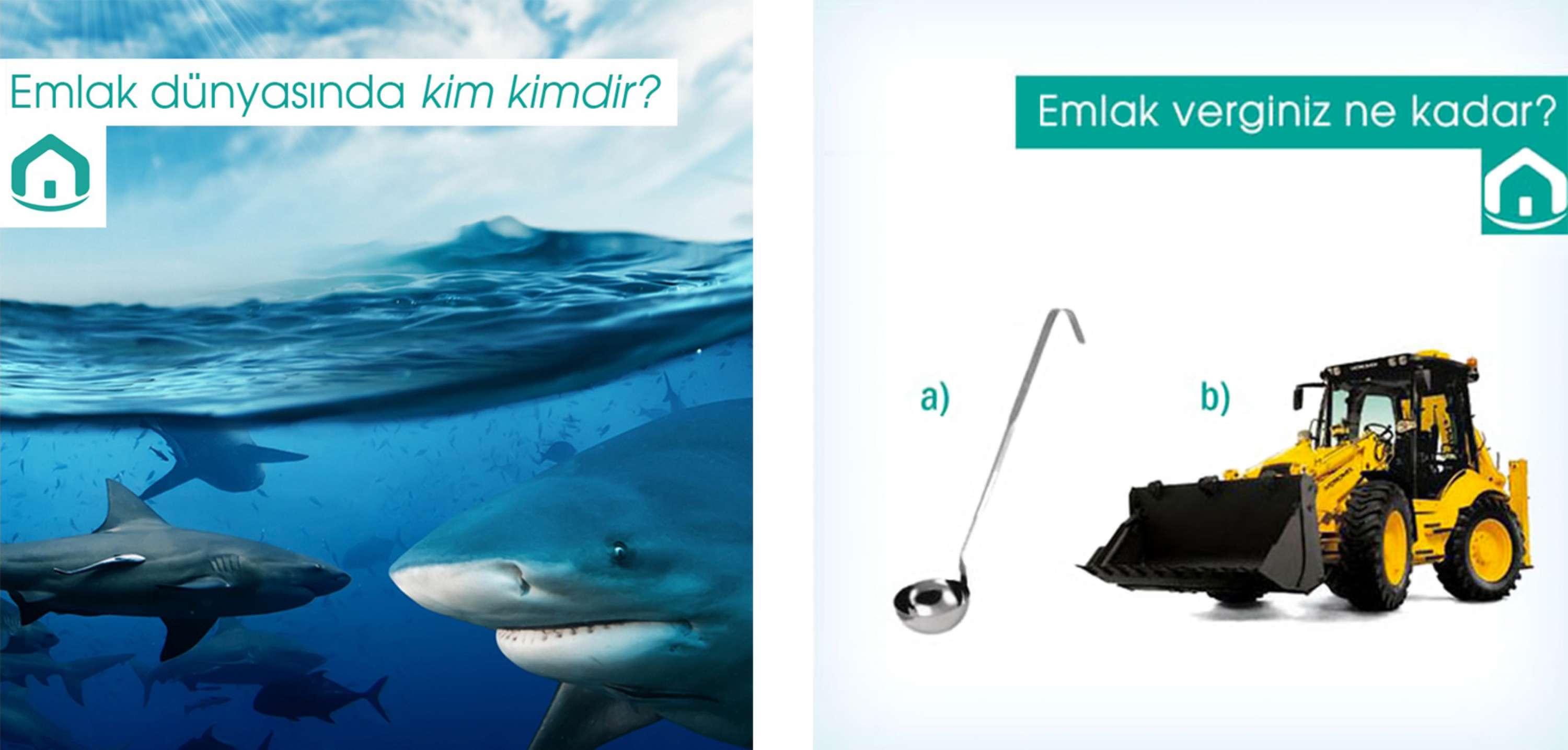 SİLİKON VALİSİ, MAHALLENİN ABİSİNE KARŞI