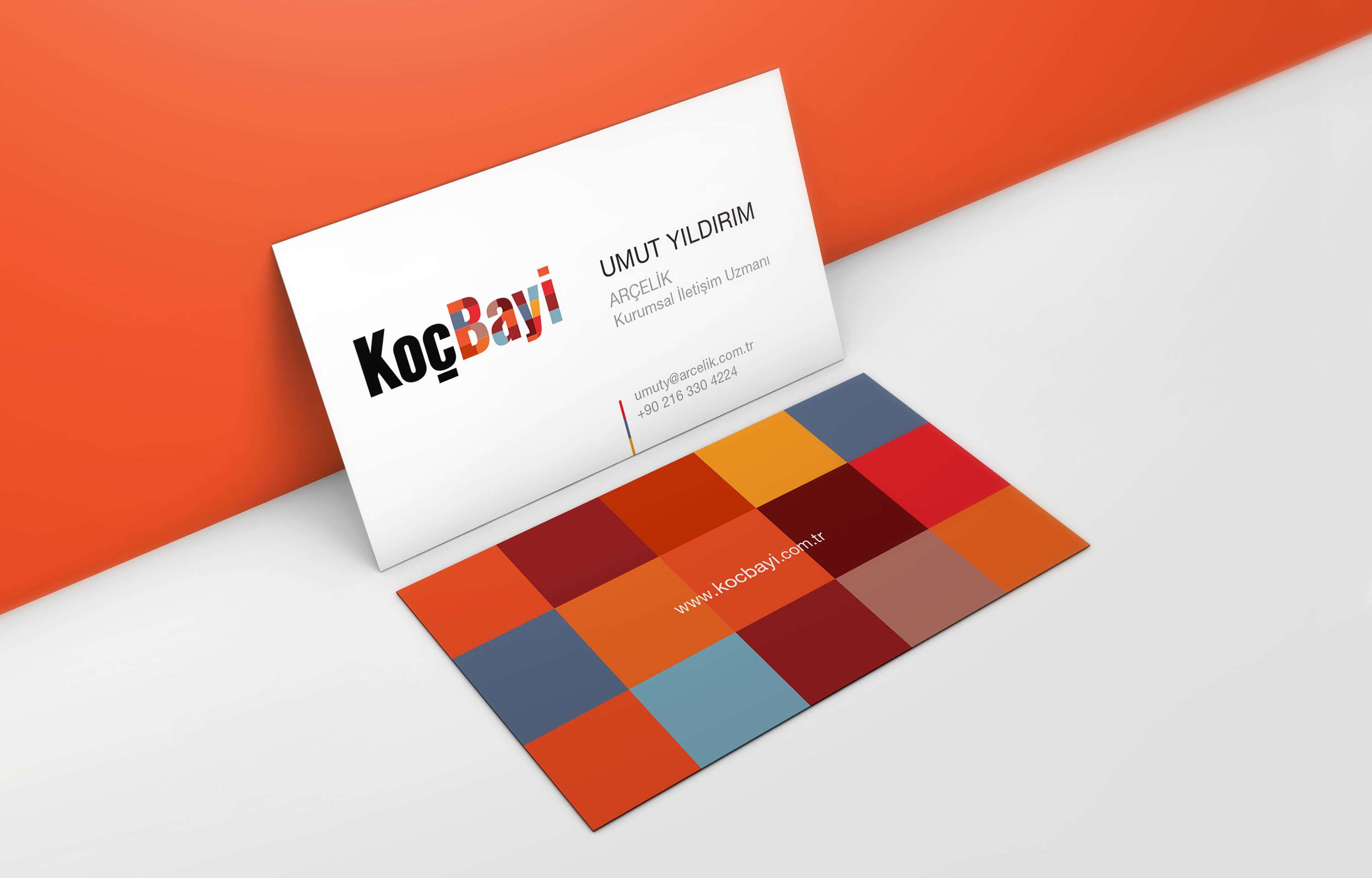 BAYİLERİN BAYİSİ